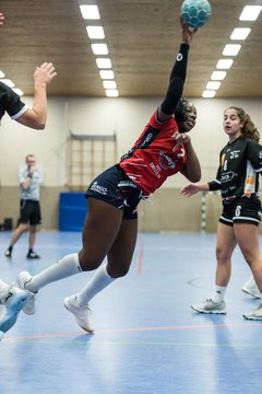 Bild 60 - A-Juniorinnen SG HH Nord - HSG Marne/Brun : Ergebnis: 32:41